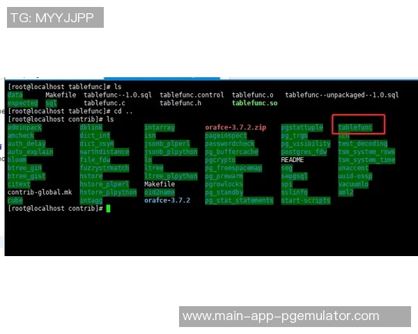 pg电子软件-探索PG电子软件的世界-pg电子软件