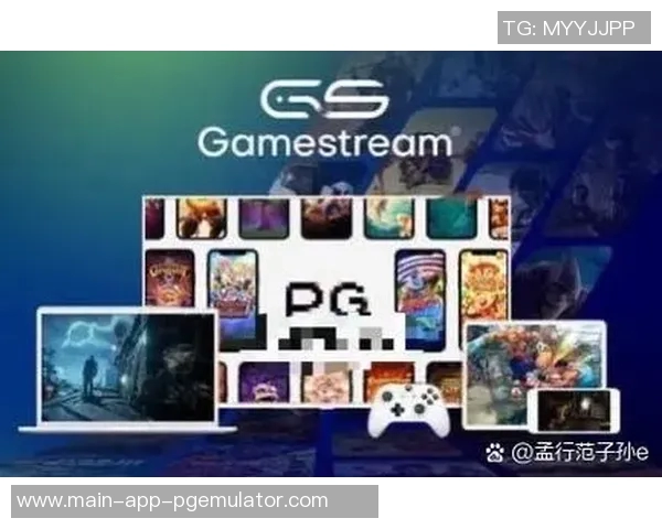 pg的电子游戏-关于PG的电子游戏探讨-pg的电子游戏